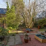 Deluxe Rooms In Ediburgh City Centre - Excellent Location